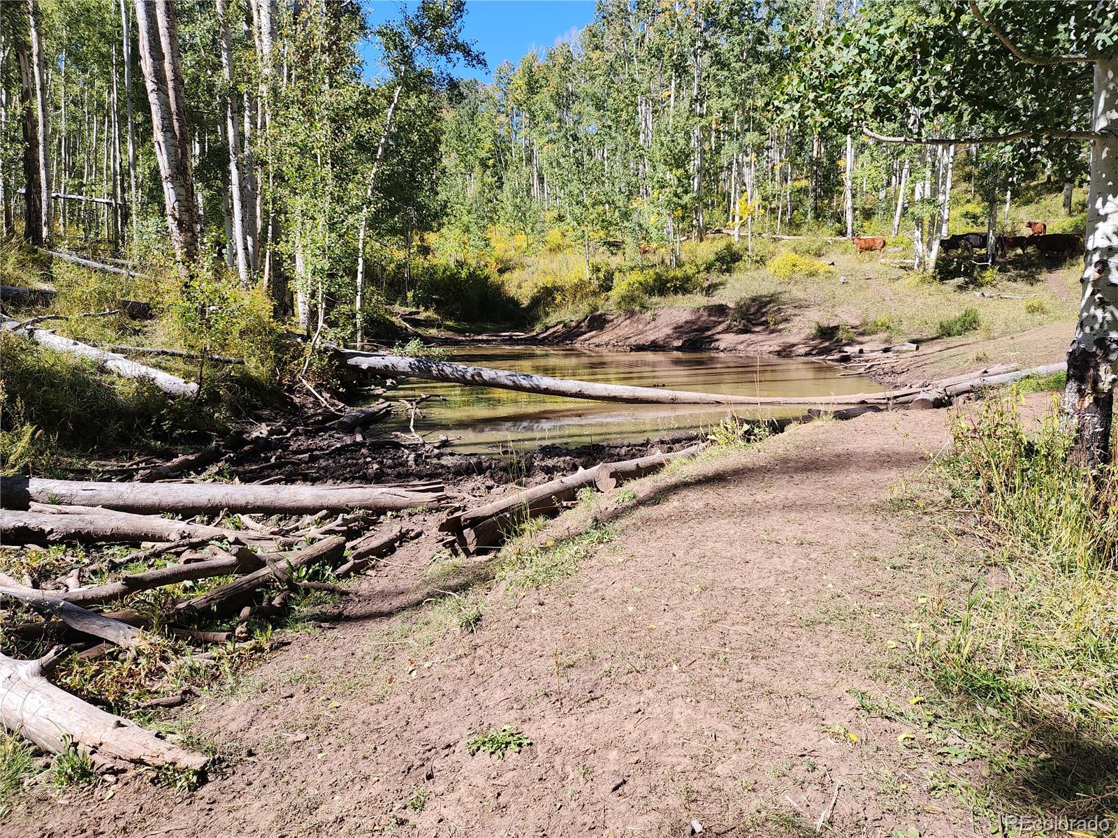 2586 26 1/10 Road Gateway CO 81522