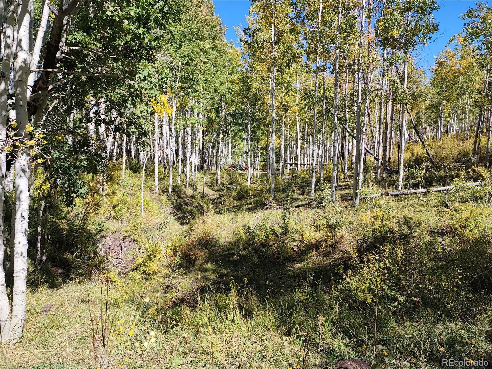 2586 26 1/10 Road Gateway CO 81522