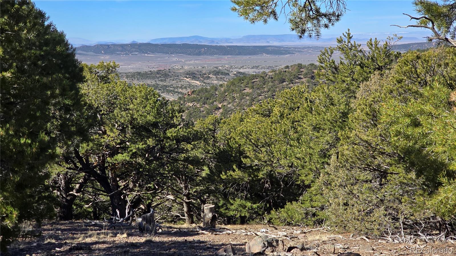 Lot 4510 Iannelli Road Fort Garland CO 81133