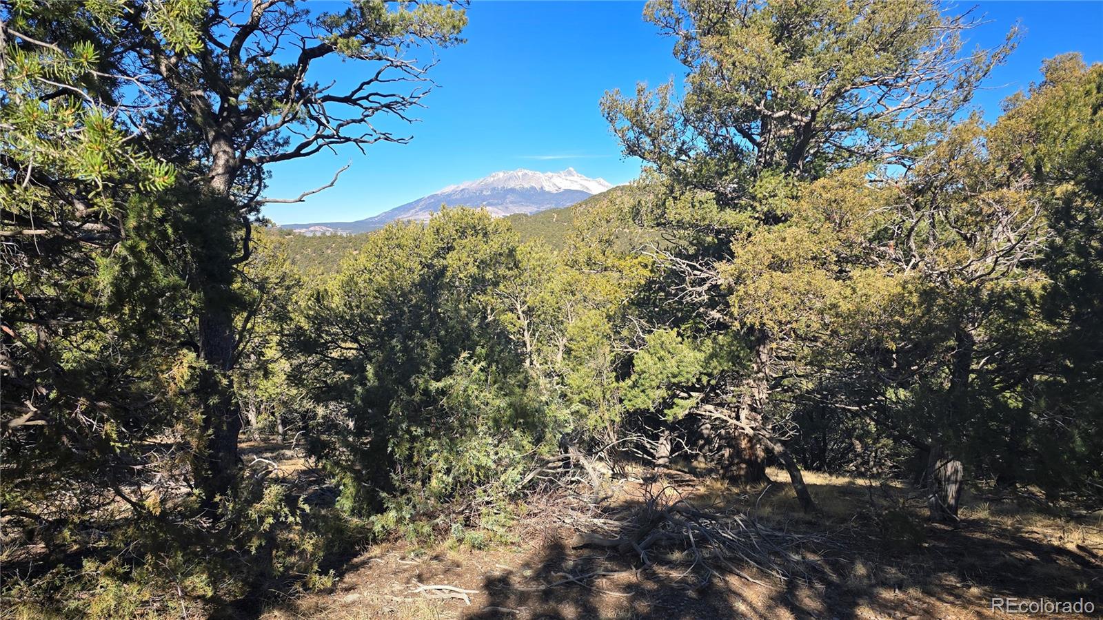 Lot 4510 Iannelli Road Fort Garland CO 81133