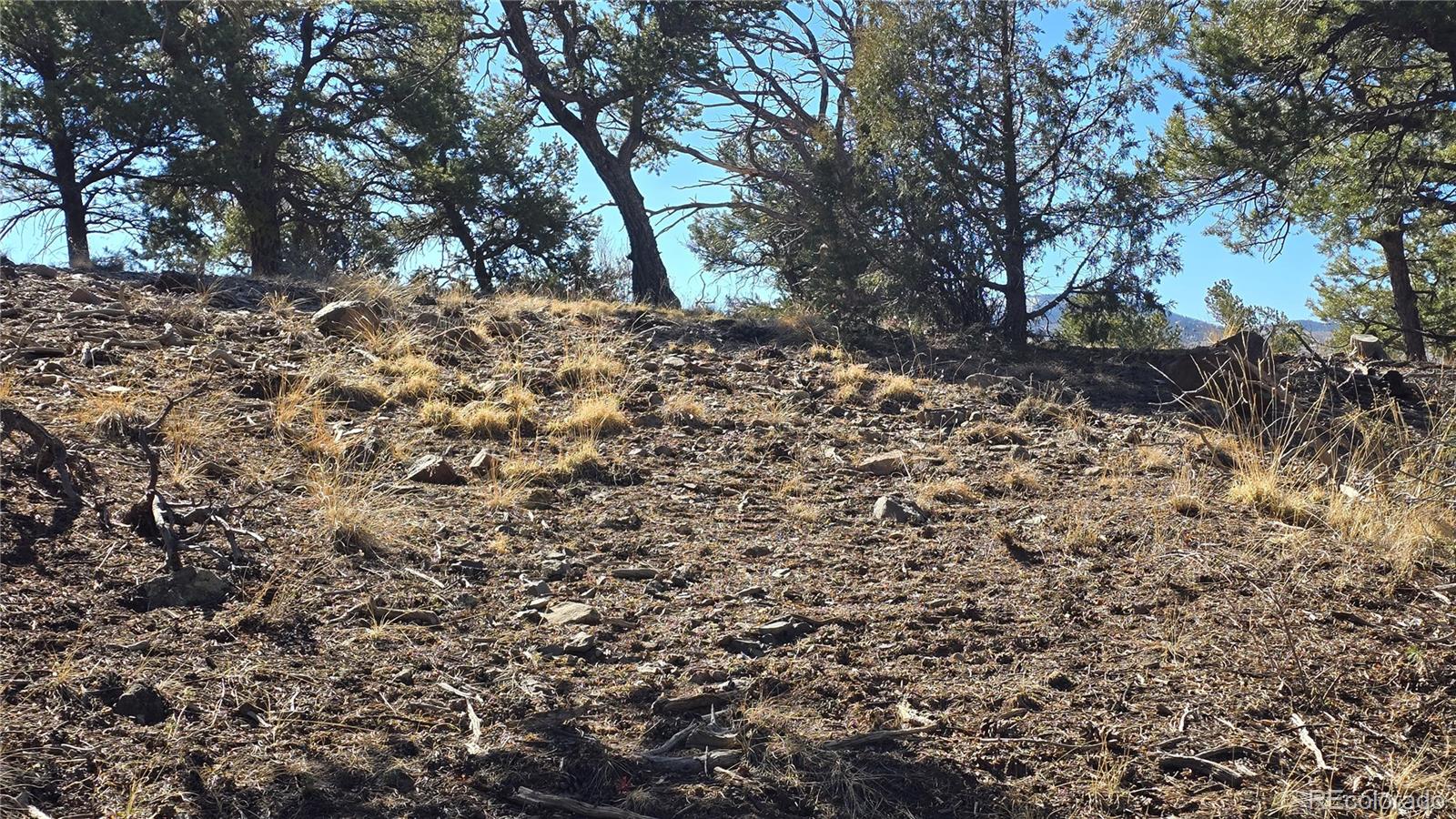 Lot 4510 Iannelli Road Fort Garland CO 81133