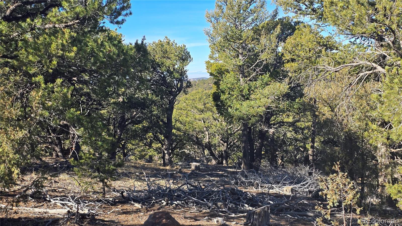 Lot 4510 Iannelli Road Fort Garland CO 81133