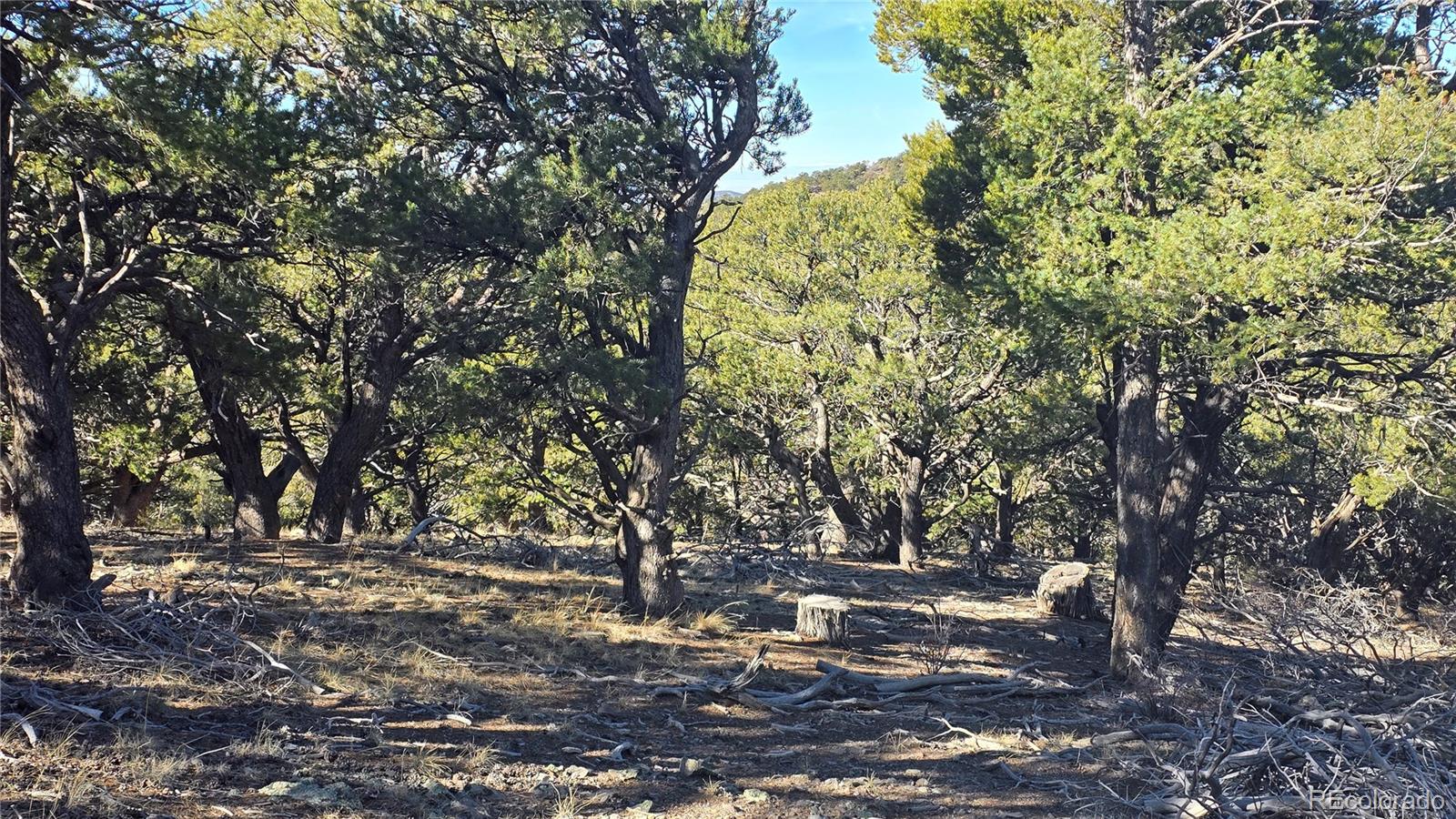 Lot 4510 Iannelli Road Fort Garland CO 81133