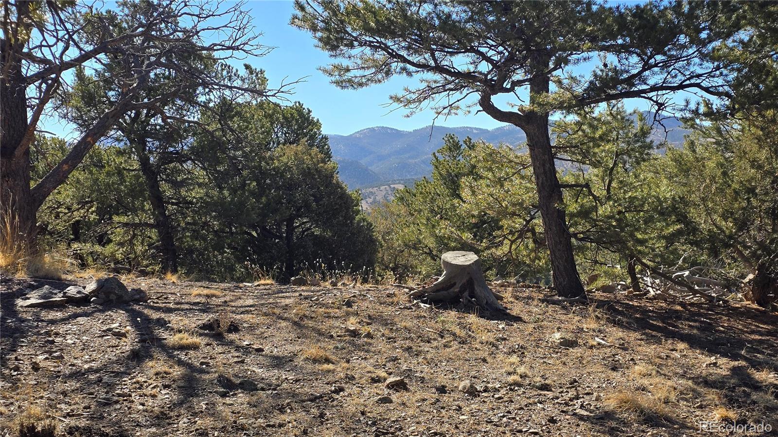 Lot 4510 Iannelli Road Fort Garland CO 81133