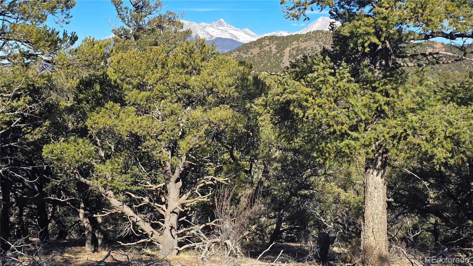 Lot 4510 Iannelli Road Fort Garland CO 81133