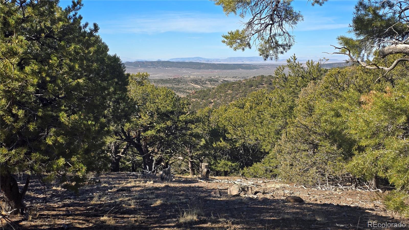 Lot 4510 Iannelli Road Fort Garland CO 81133