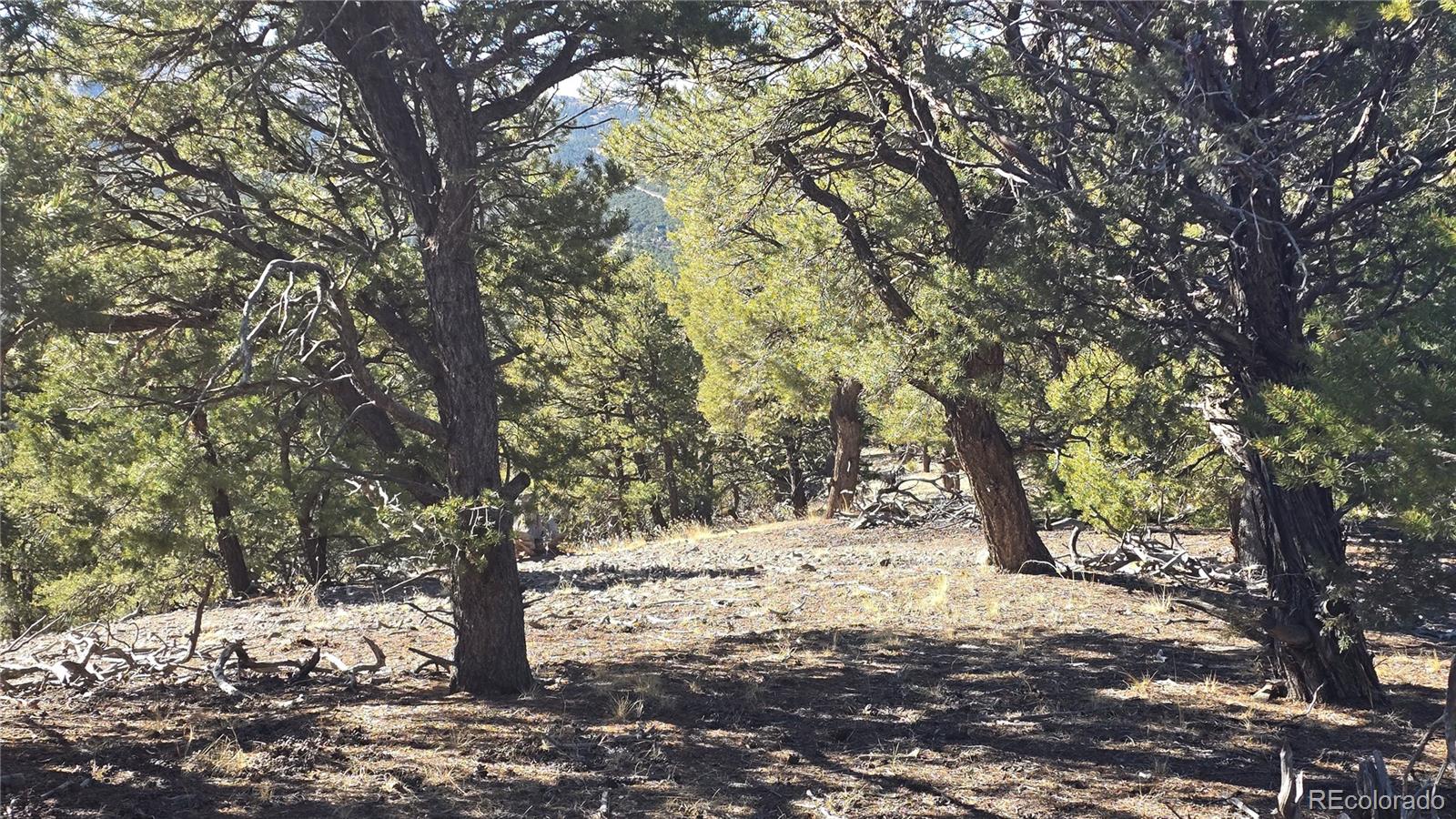Lot 4510 Iannelli Road Fort Garland CO 81133
