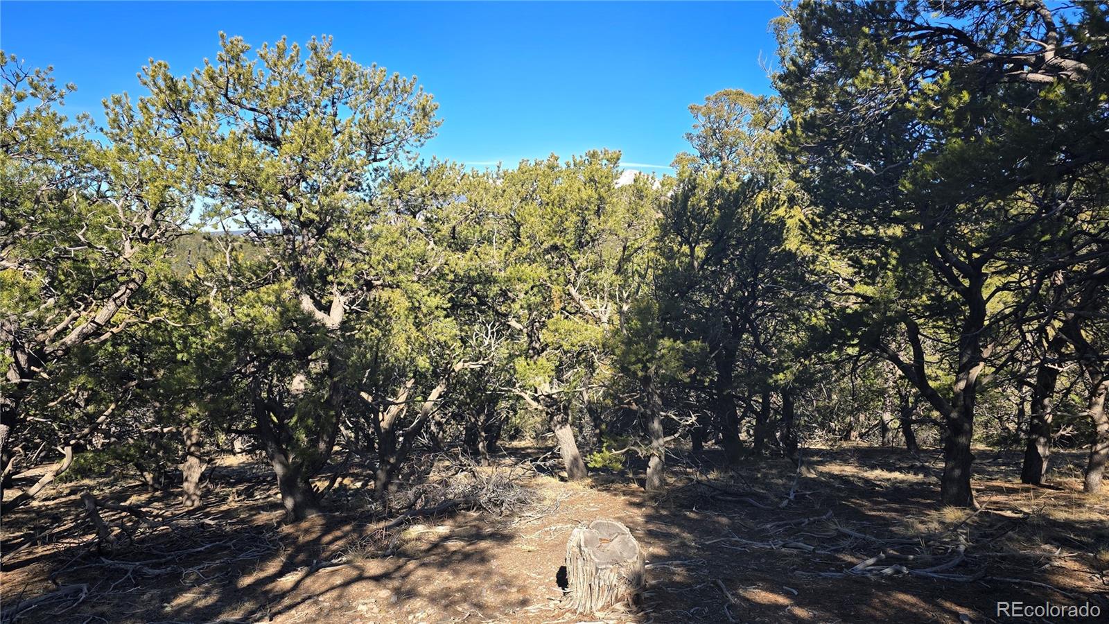 Lot 4510 Iannelli Road Fort Garland CO 81133
