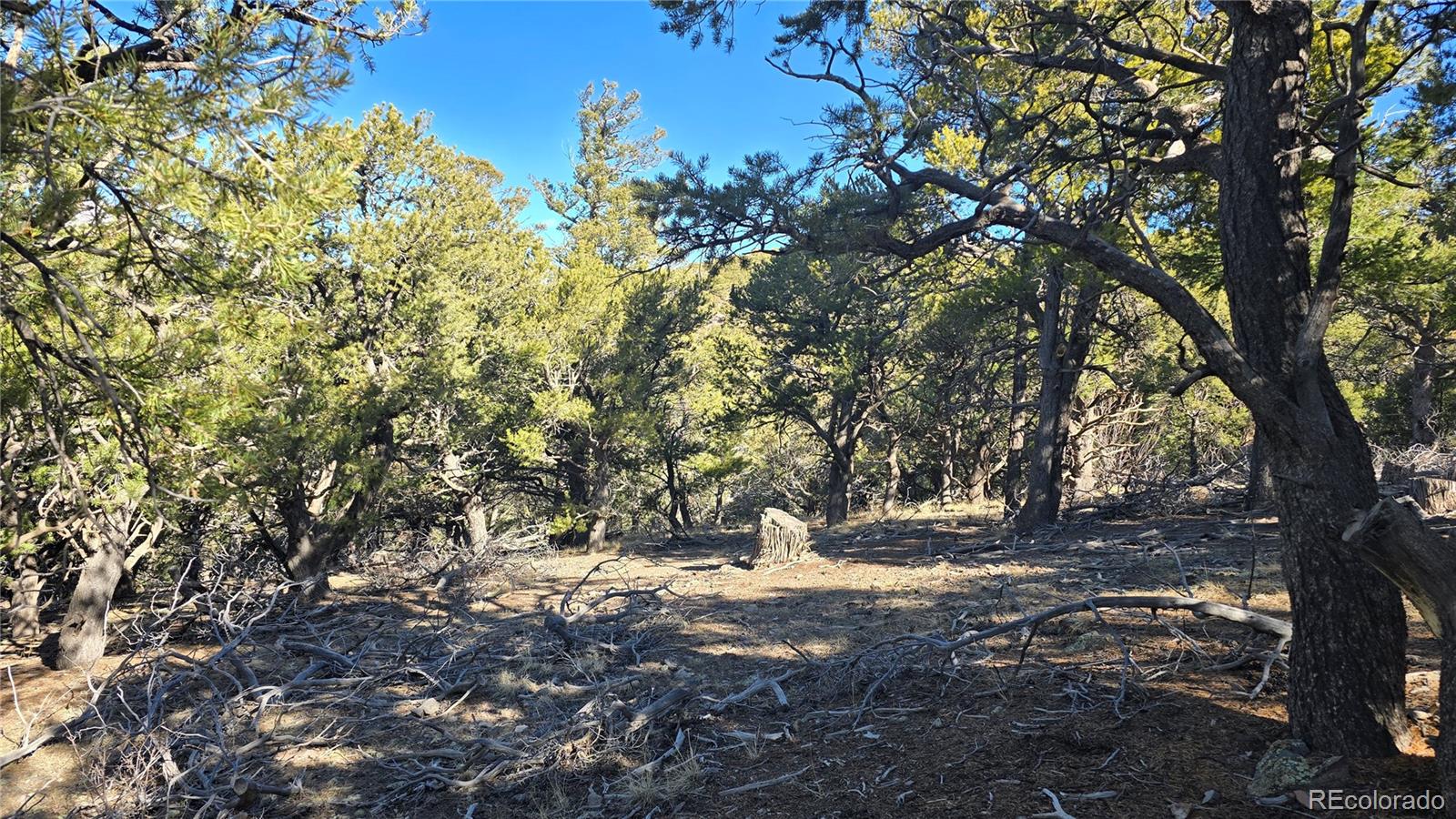 Lot 4510 Iannelli Road Fort Garland CO 81133
