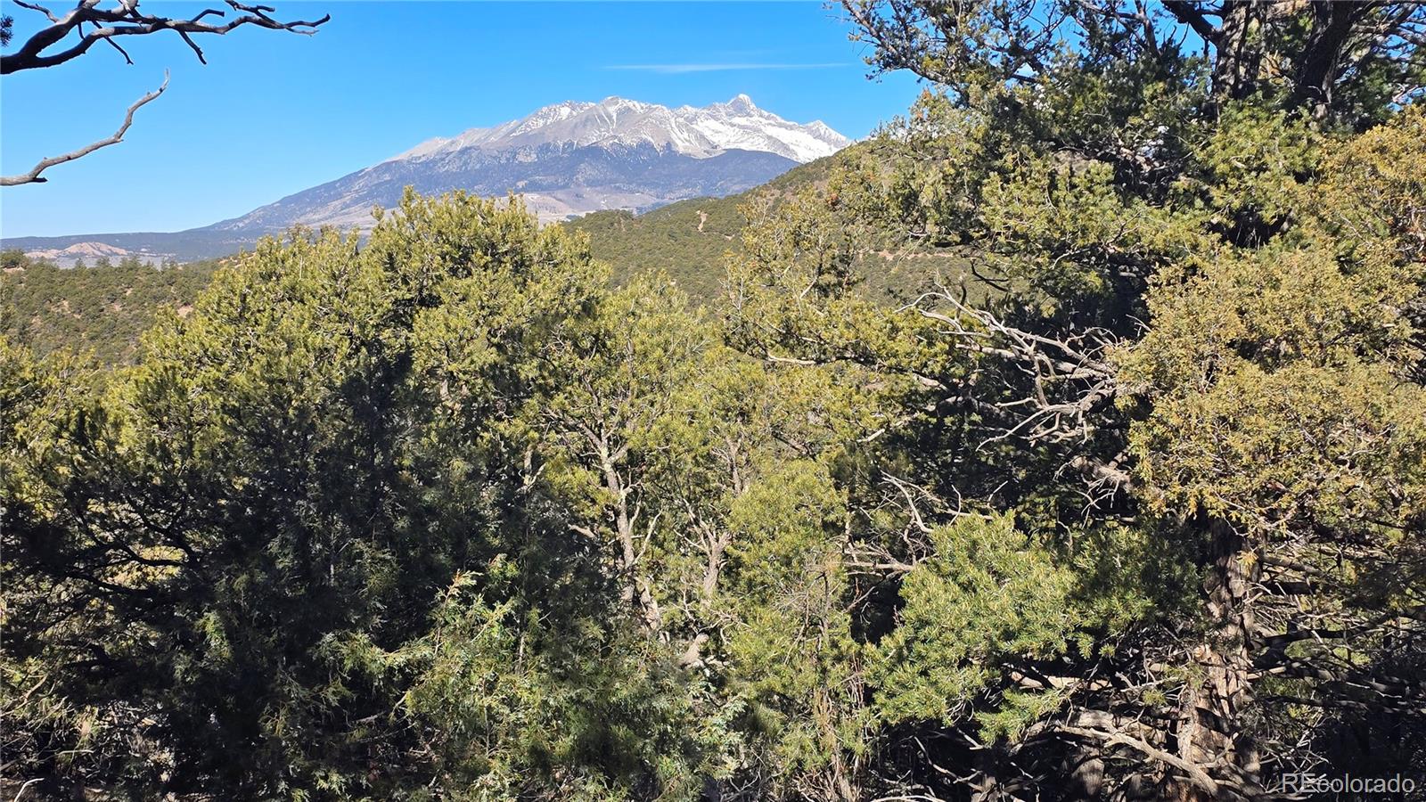 Lot 4510 Iannelli Road Fort Garland CO 81133