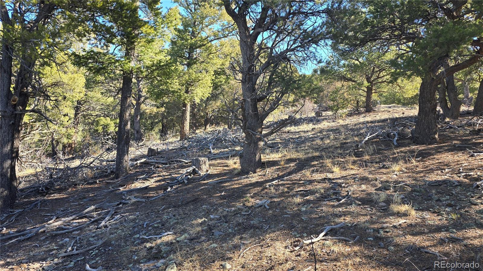 Lot 4510 Iannelli Road Fort Garland CO 81133