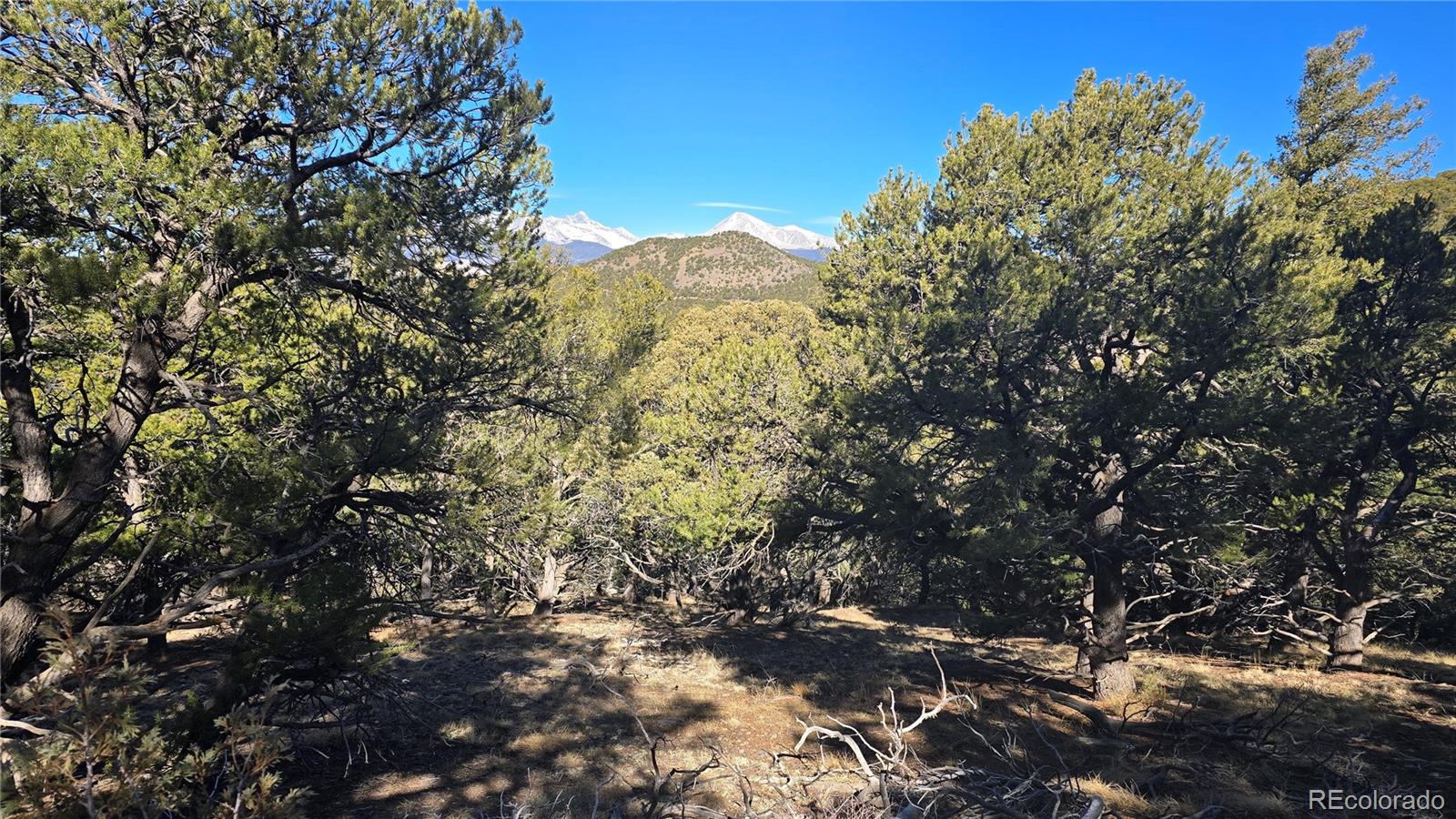 Lot 4510 Iannelli Road Fort Garland CO 81133