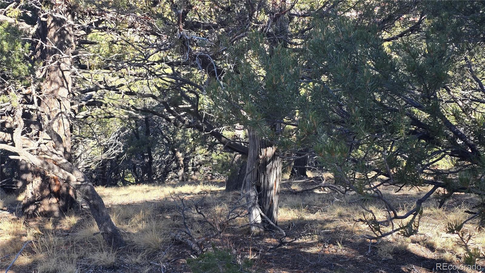 Lot 4510 Iannelli Road Fort Garland CO 81133