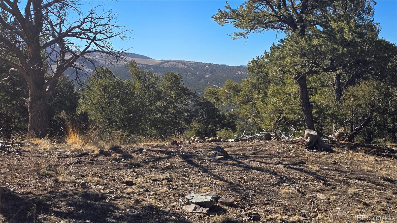 Lot 4510 Iannelli Road Fort Garland CO 81133