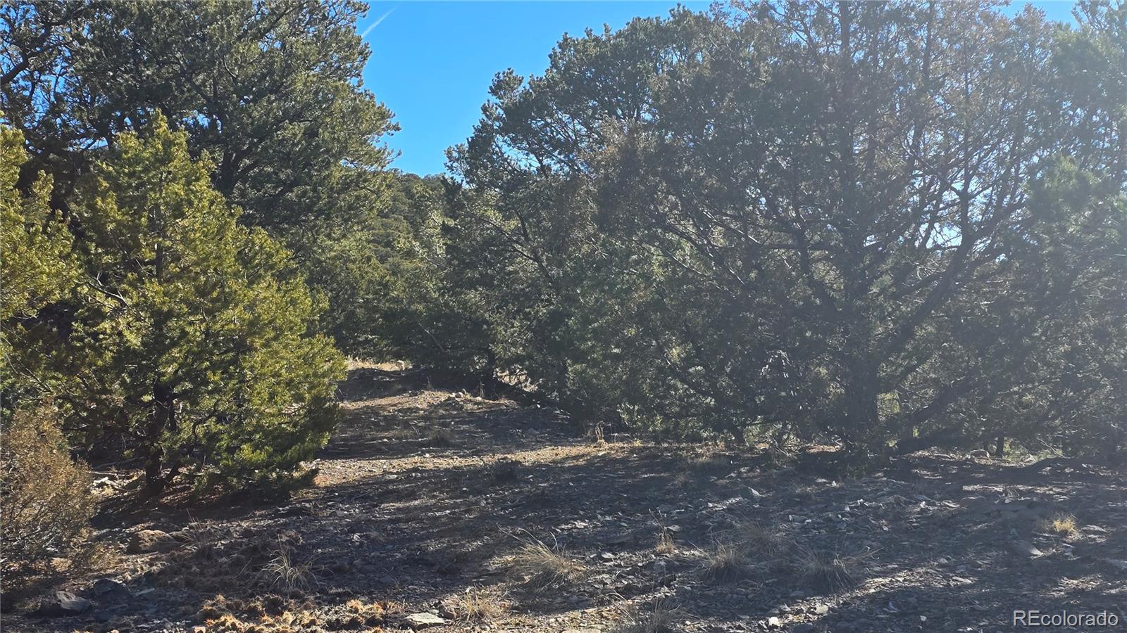 Lot 4510 Iannelli Road Fort Garland CO 81133