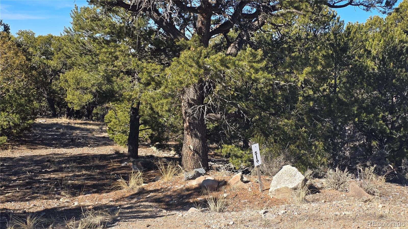 Lot 4510 Iannelli Road Fort Garland CO 81133