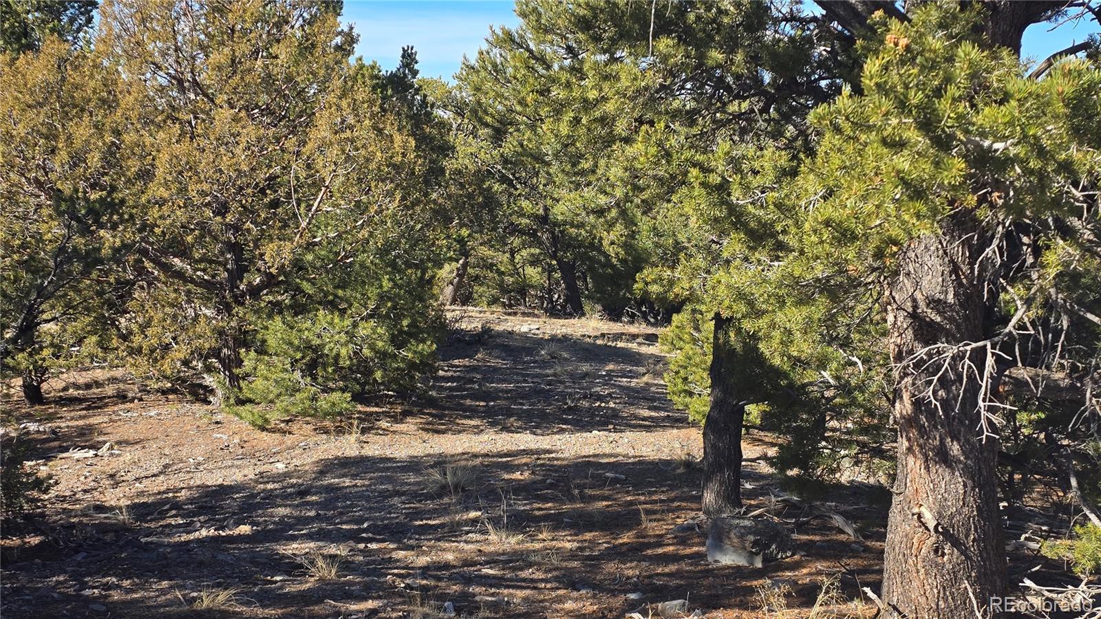 Lot 4510 Iannelli Road Fort Garland CO 81133