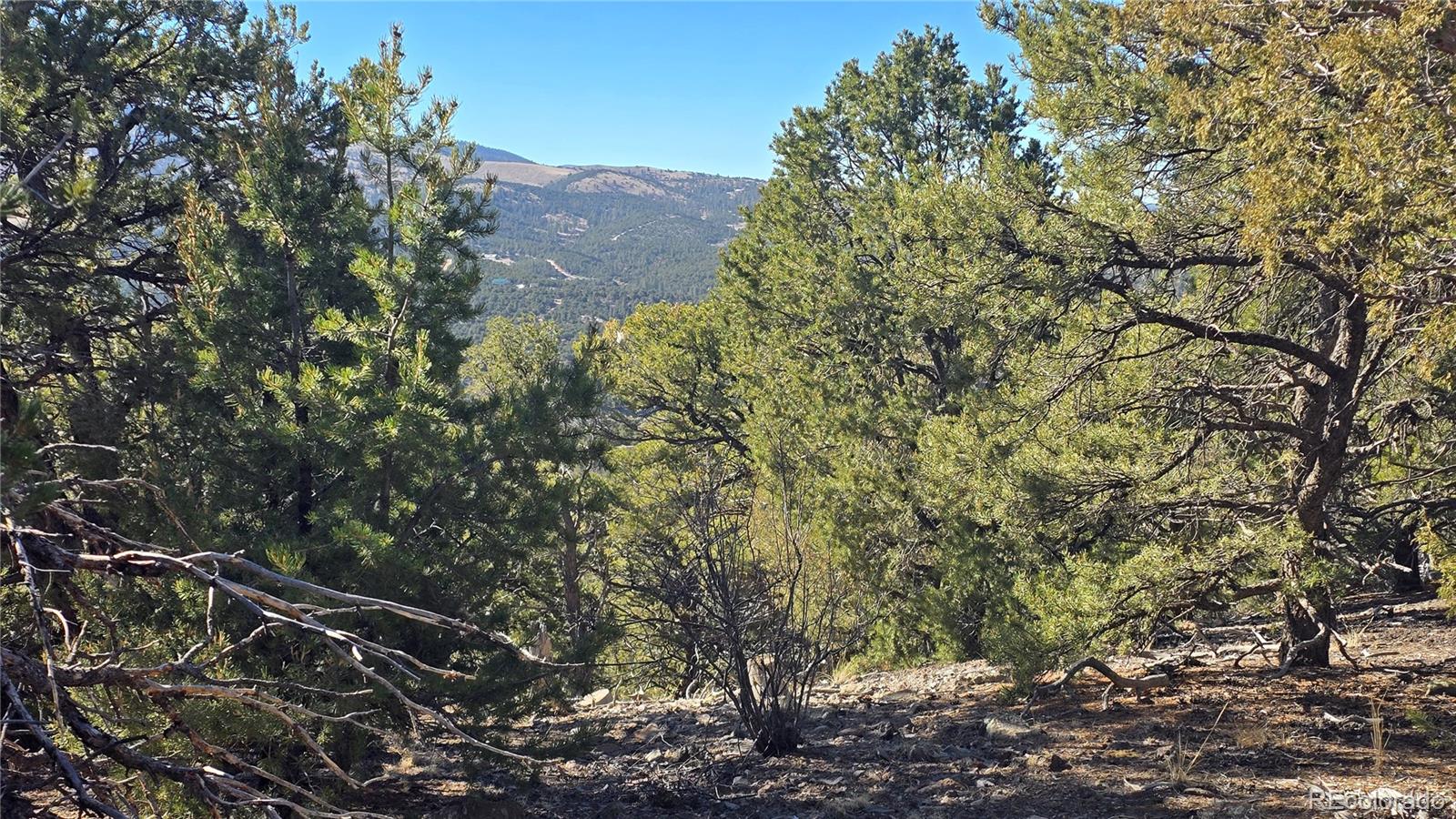 Lot 4510 Iannelli Road Fort Garland CO 81133