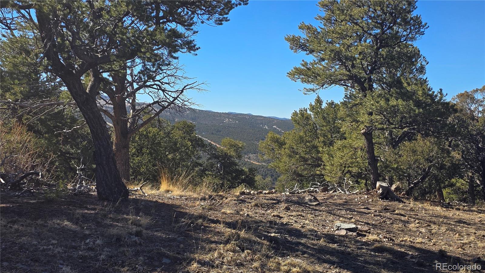 Lot 4510 Iannelli Road Fort Garland CO 81133