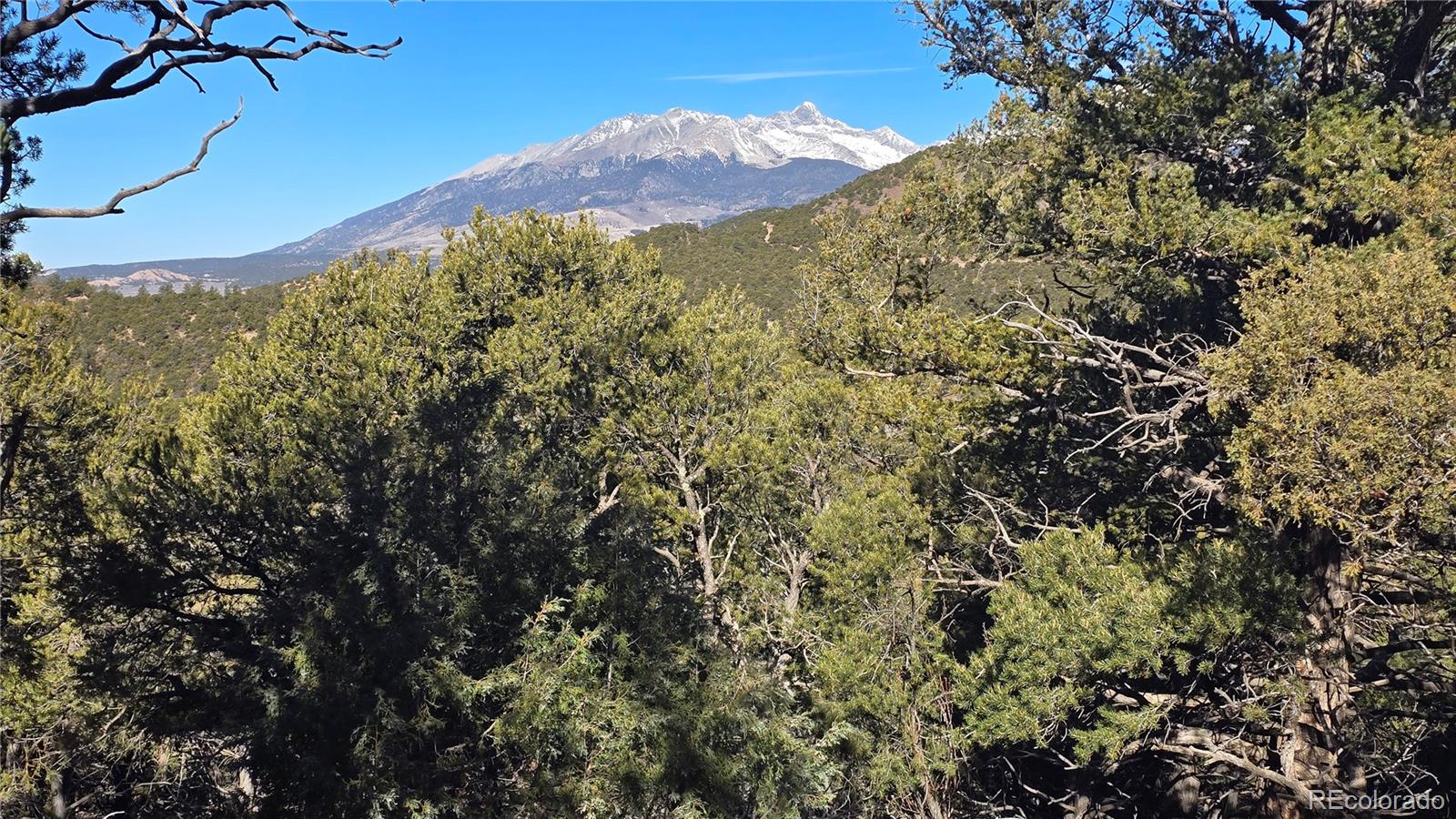 Lot 4510 Iannelli Road Fort Garland CO 81133