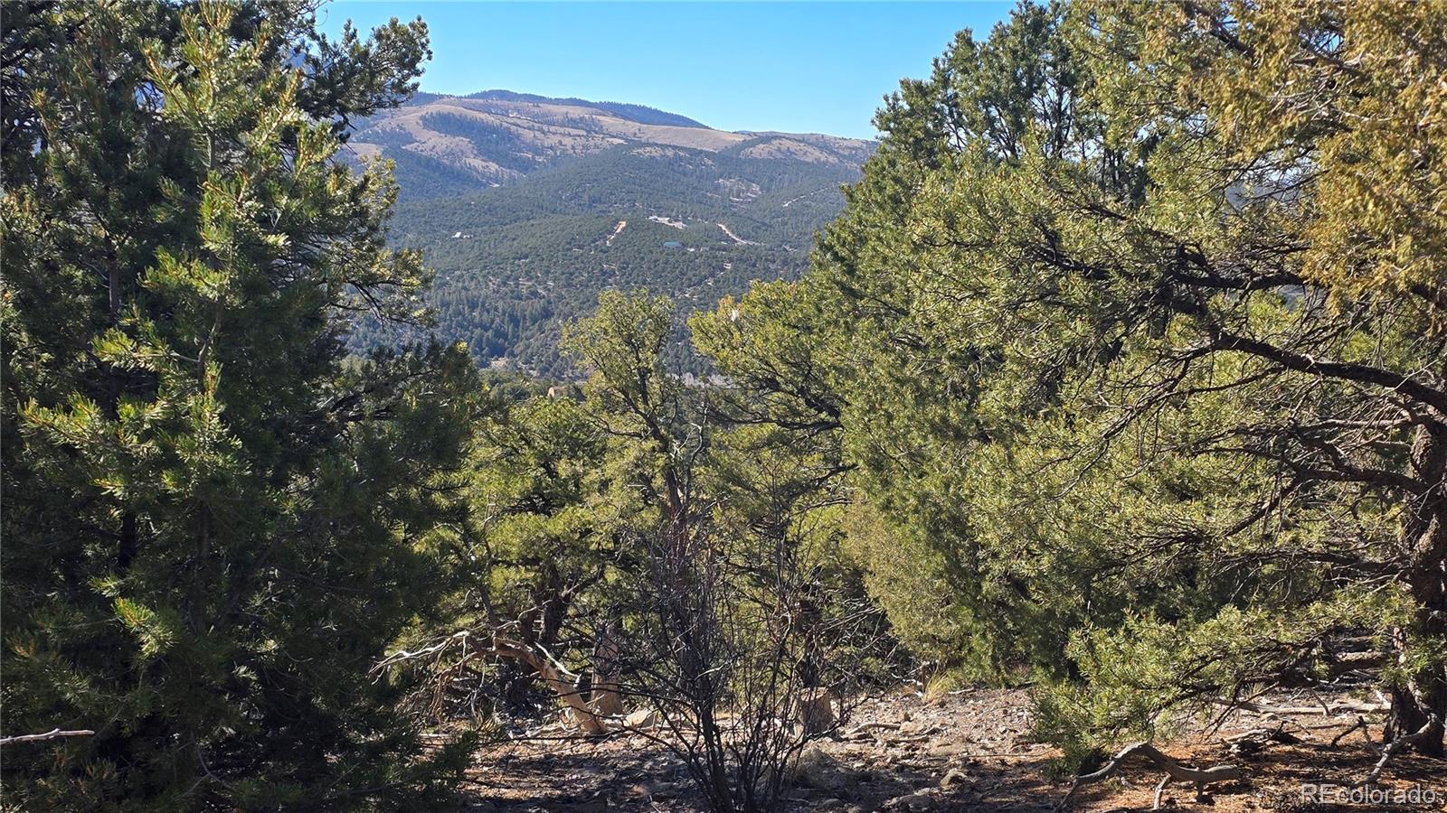 Lot 4510 Iannelli Road Fort Garland CO 81133
