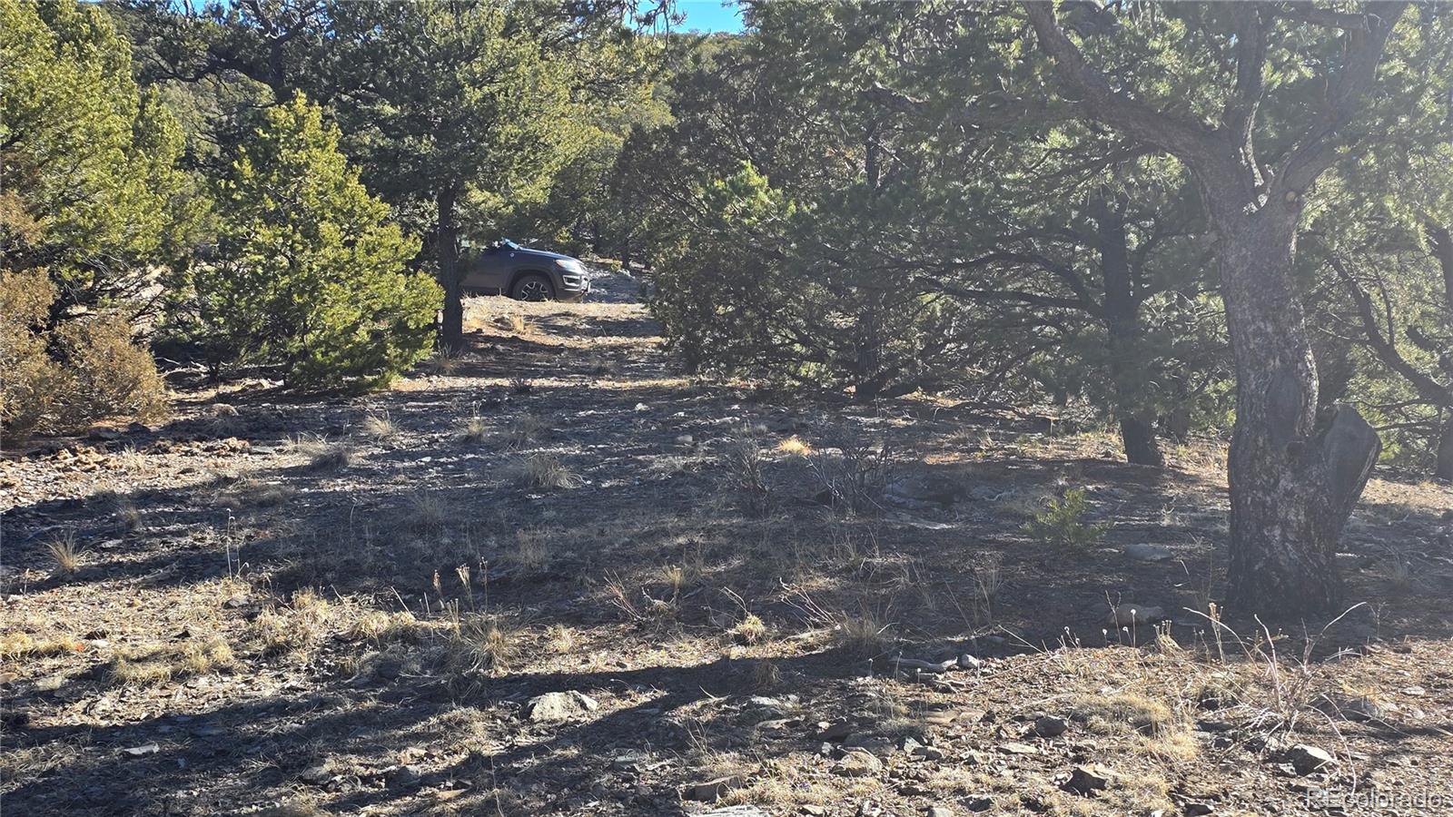 Lot 4510 Iannelli Road Fort Garland CO 81133