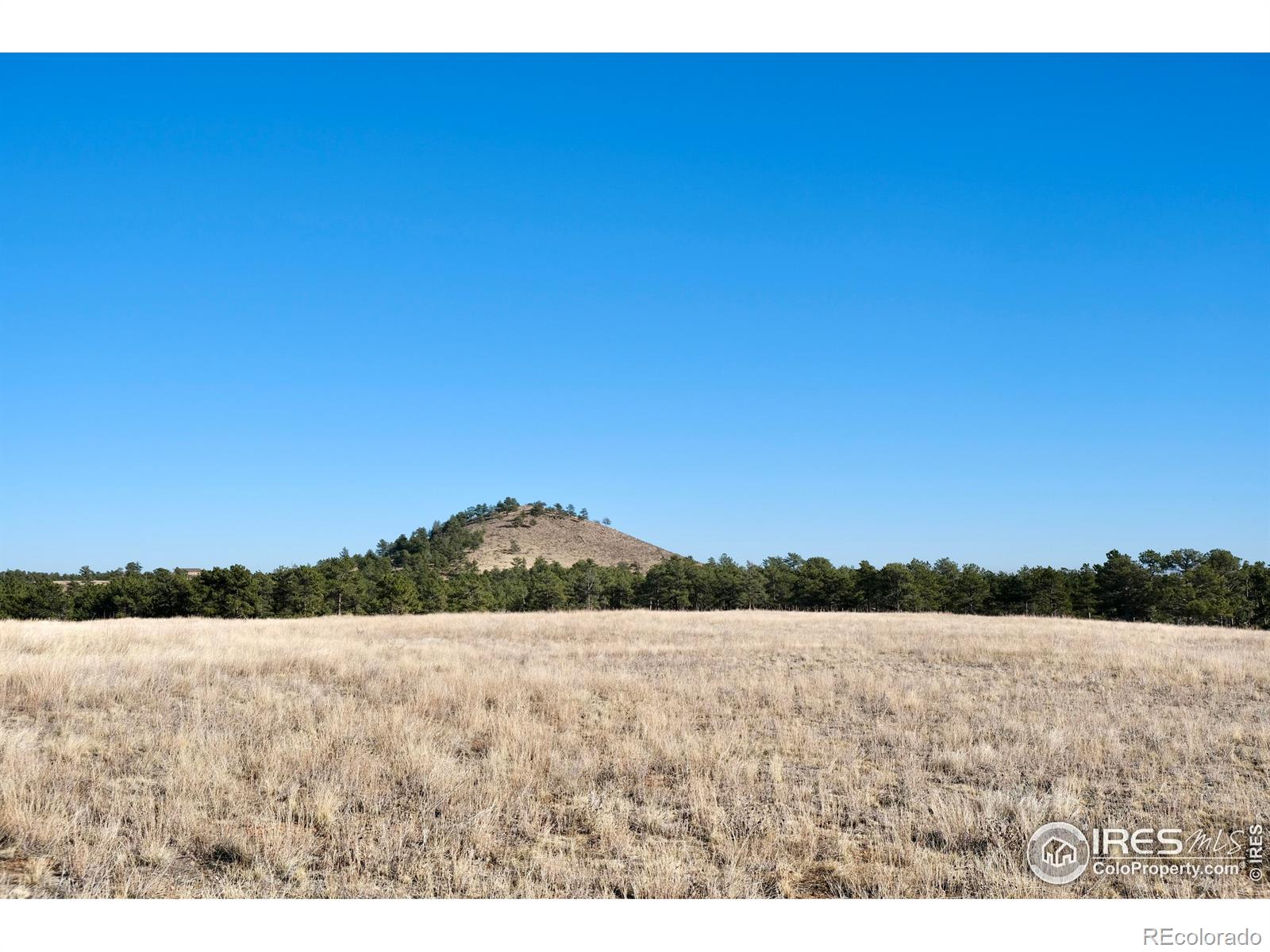0 Walno Avenue Livermore CO 80536