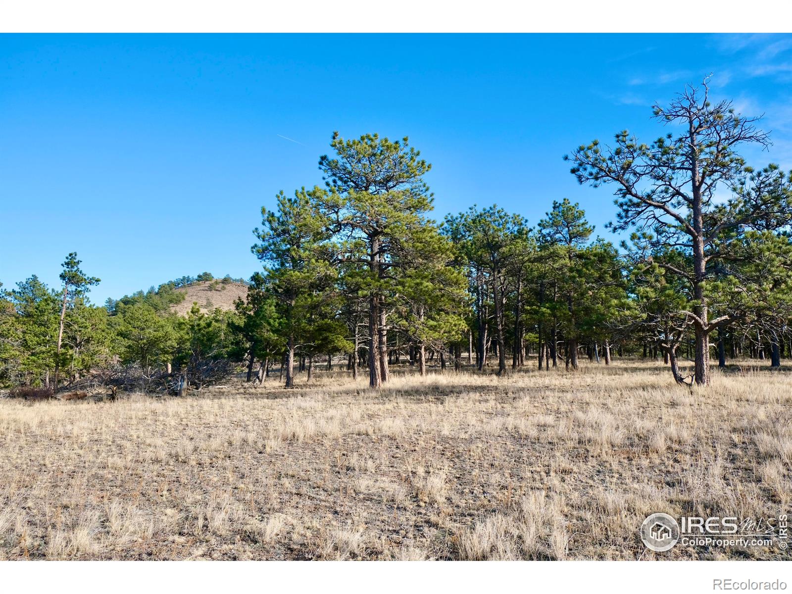 0 Walno Avenue Livermore CO 80536