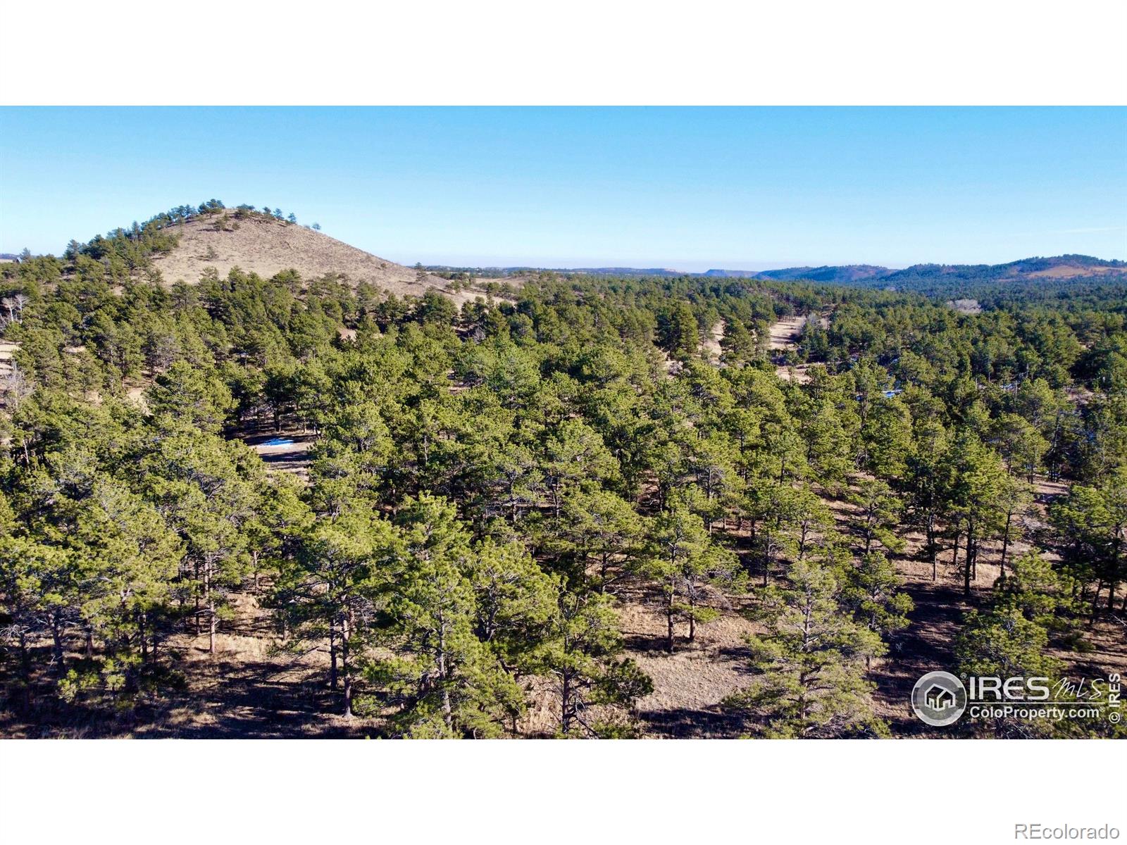 0 Walno Avenue Livermore CO 80536