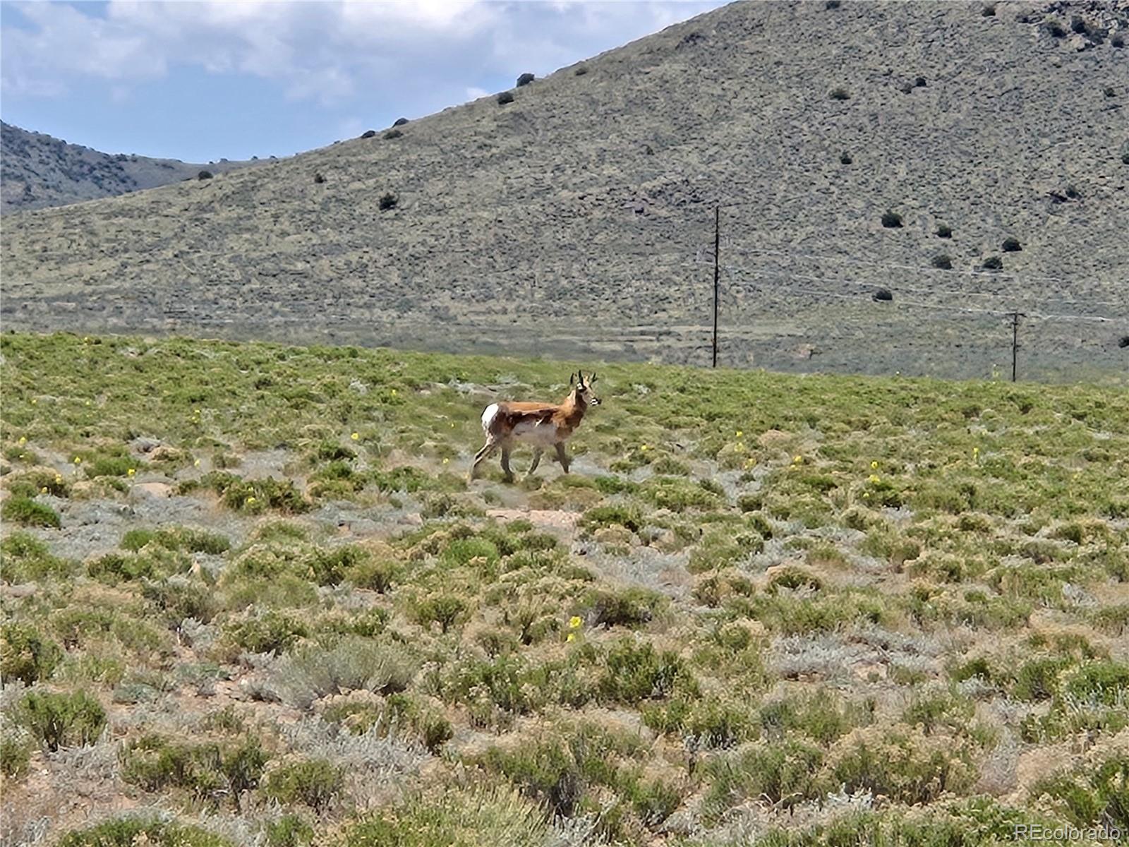 South 2nd Street Lot 13 Blanca CO 81133