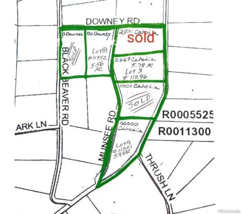2667 Cahokia Road Hartsel CO 80449