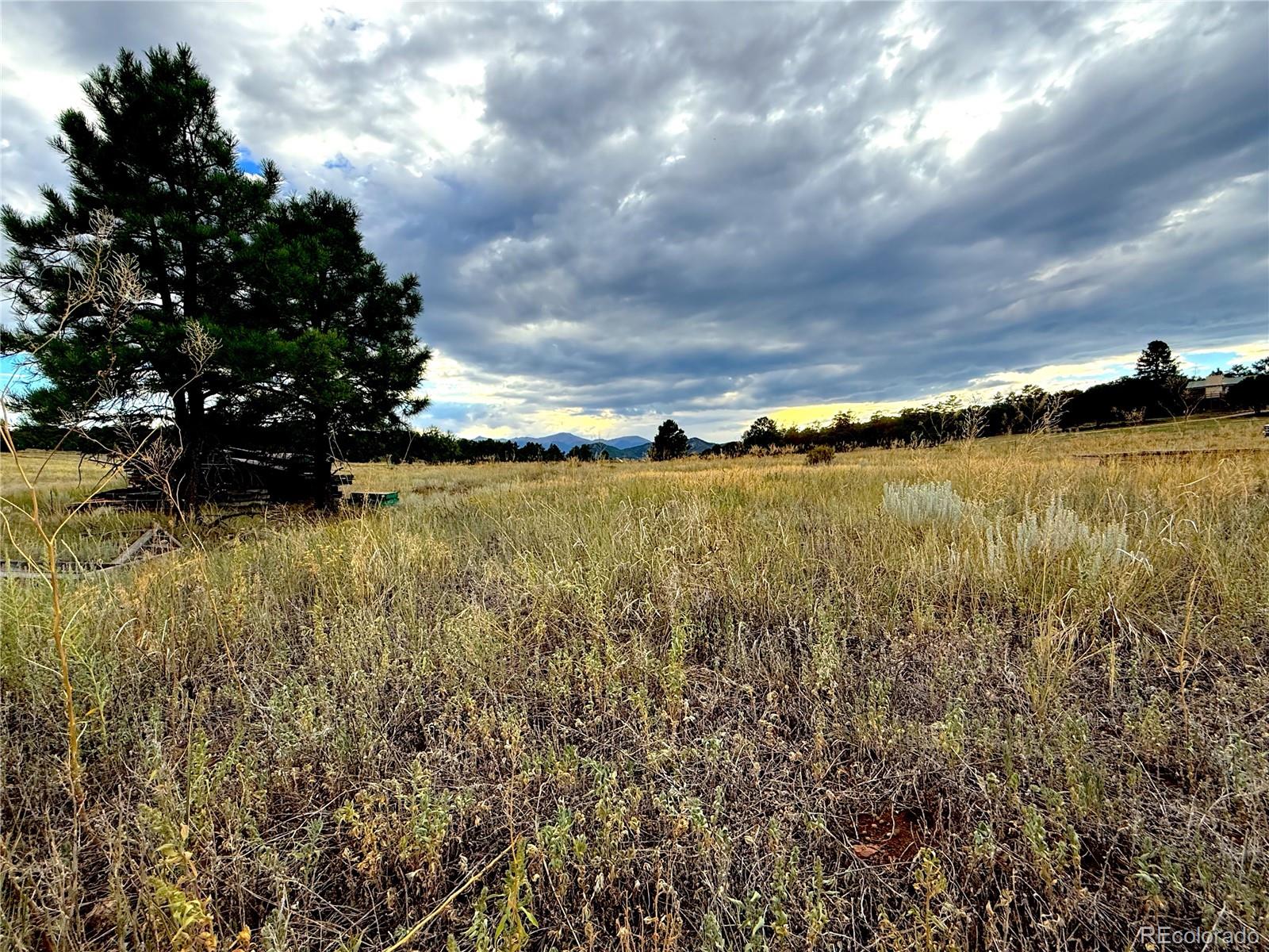 Tbd #2, 23rd Trail Cotopaxi CO 81223