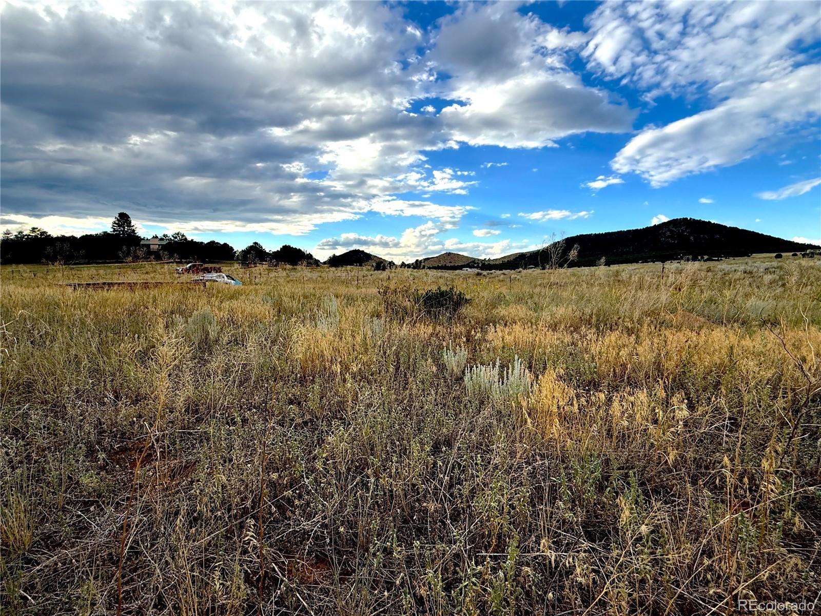 Tbd #2, 23rd Trail Cotopaxi CO 81223