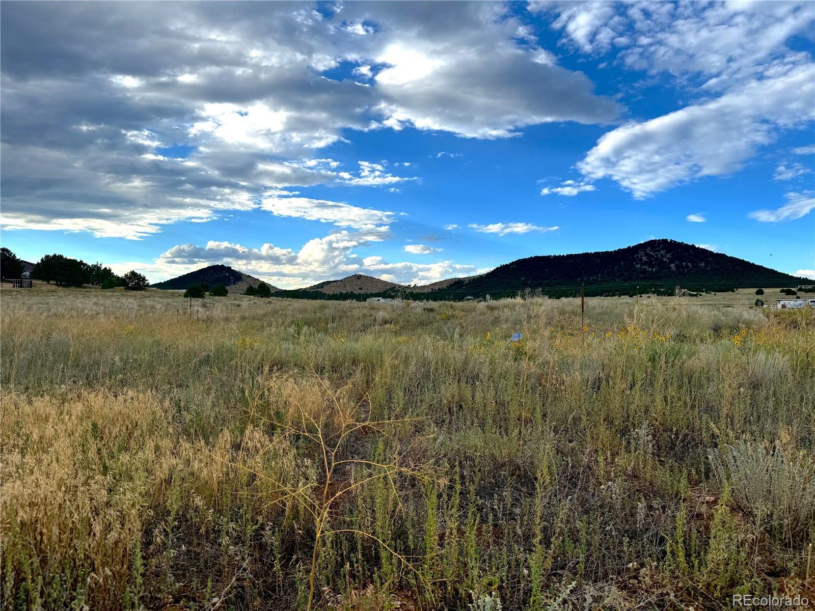 Tbd #2, 23rd Trail Cotopaxi CO 81223