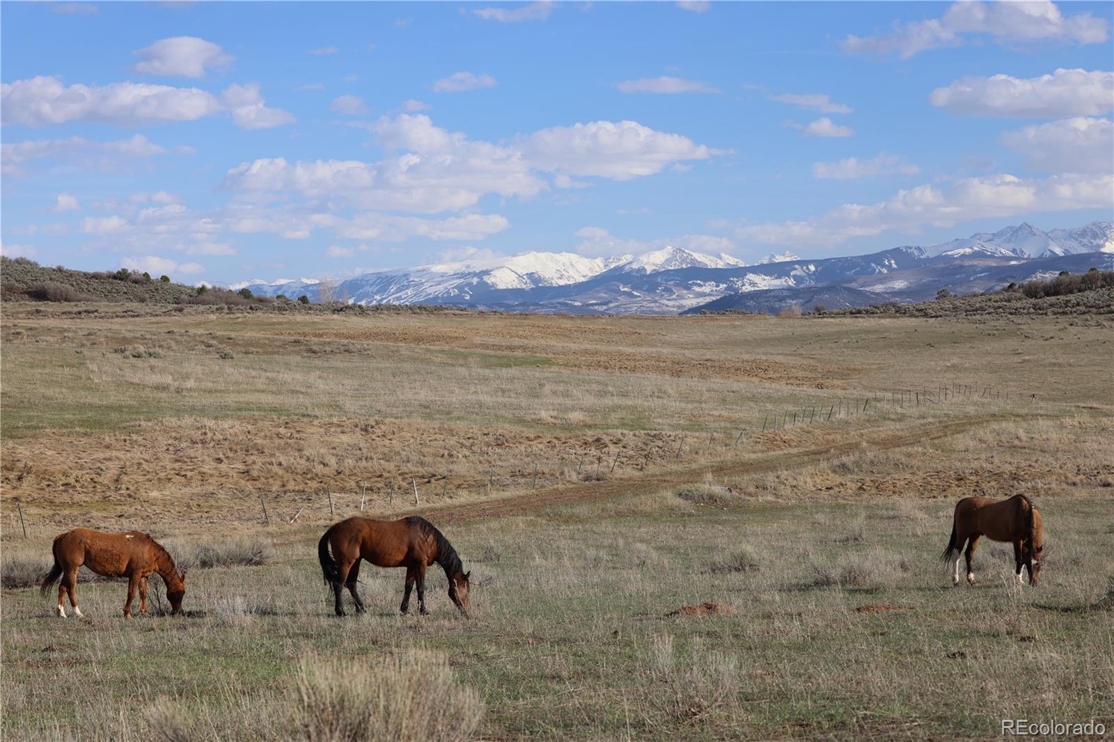 000 County Road 100 Carbondale CO 81623