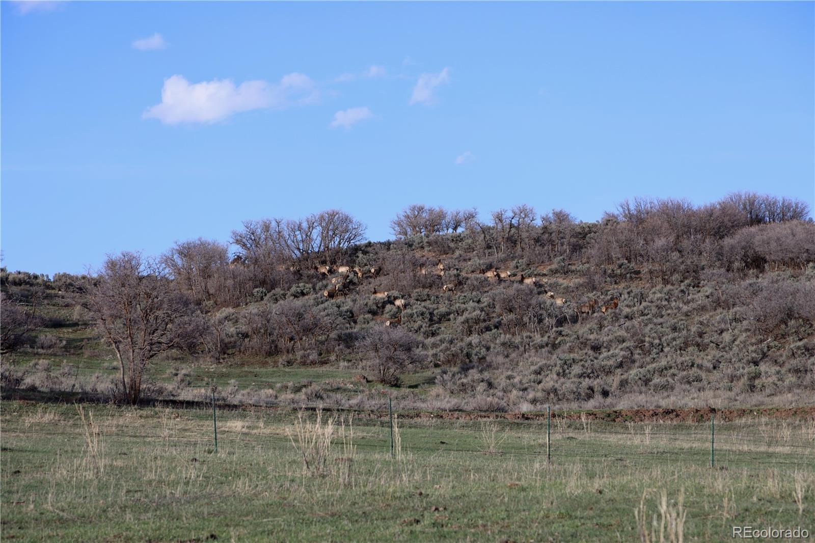 000 County Road 100 Carbondale CO 81623