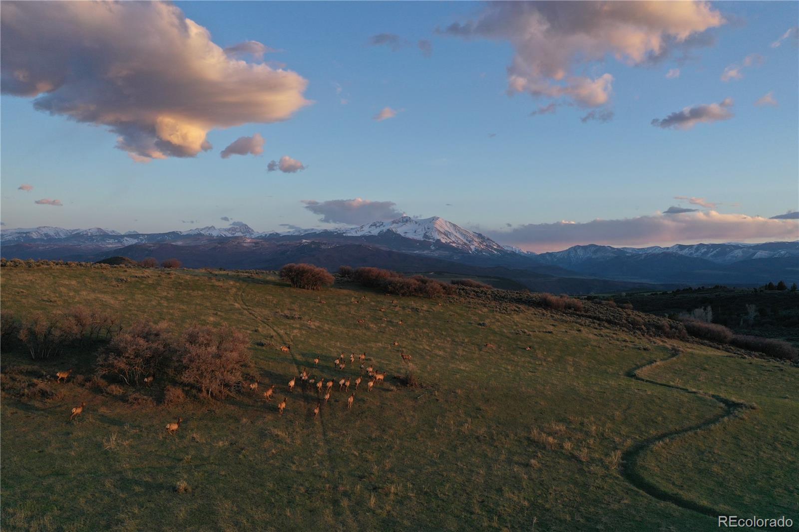000 County Road 100 Carbondale CO 81623