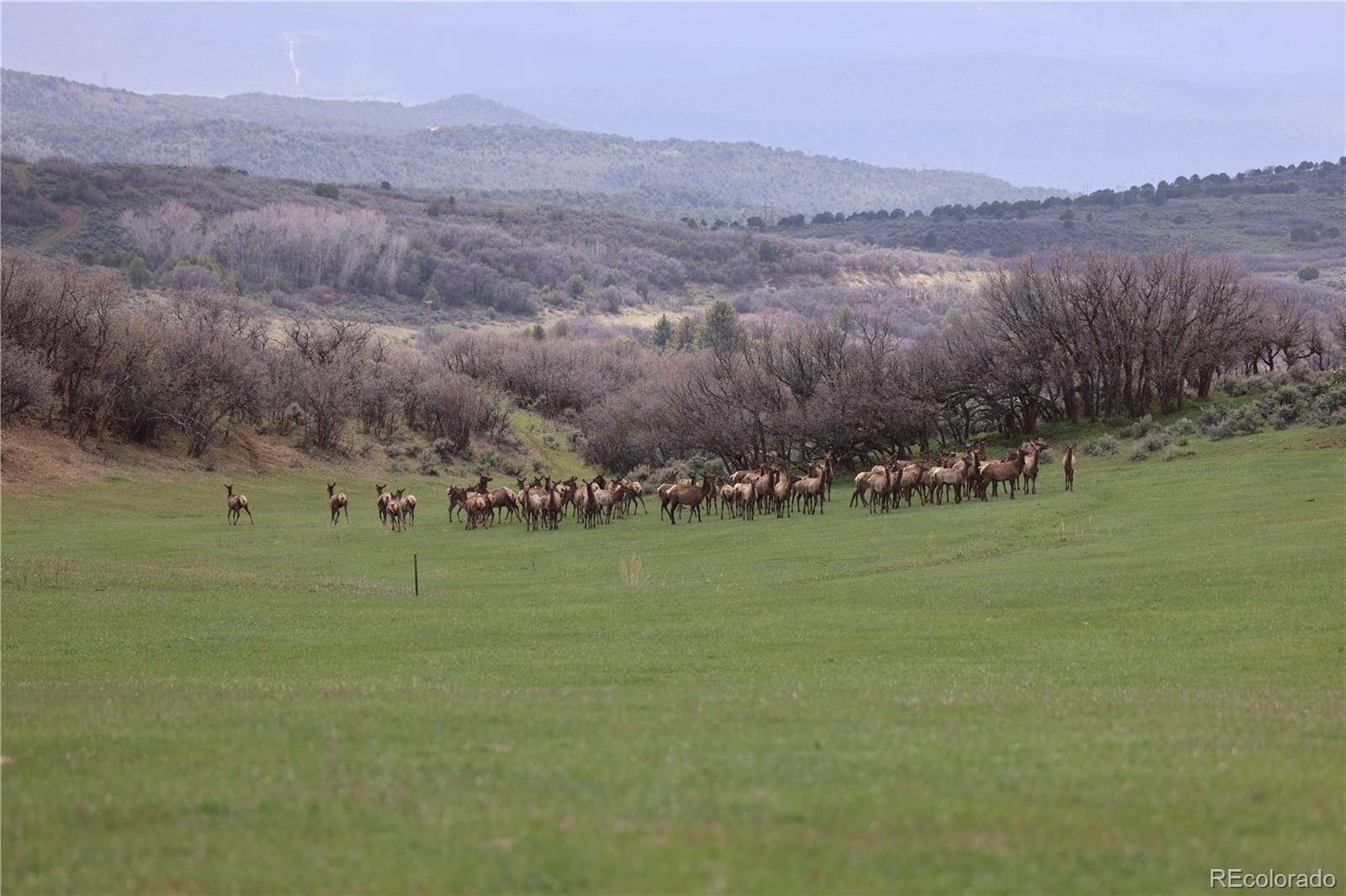 000 County Road 100 Carbondale CO 81623