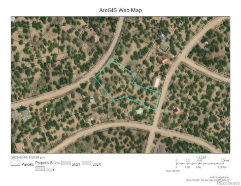 251 Baca Grant Way Crestone CO 81131