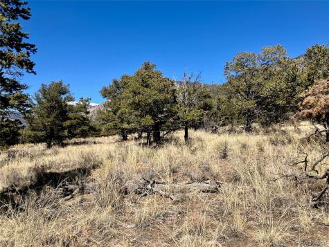 251 Baca Grant Way Crestone CO 81131