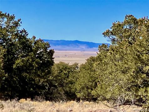 251 Baca Grant Way Crestone CO 81131