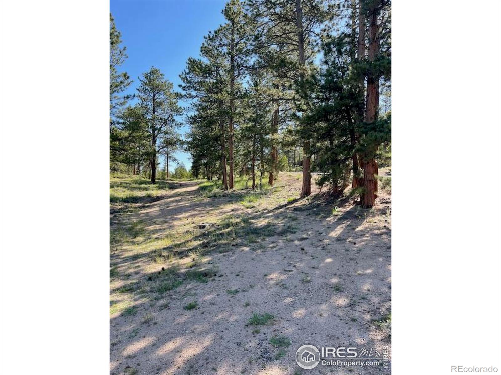 3086 Fox Acres Drive E Red Feather Lakes CO 80545
