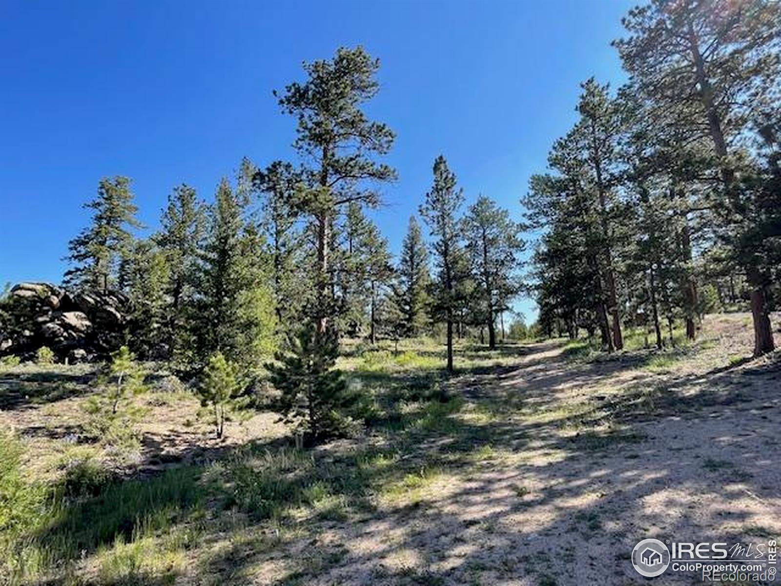 3086 Fox Acres Drive E Red Feather Lakes CO 80545