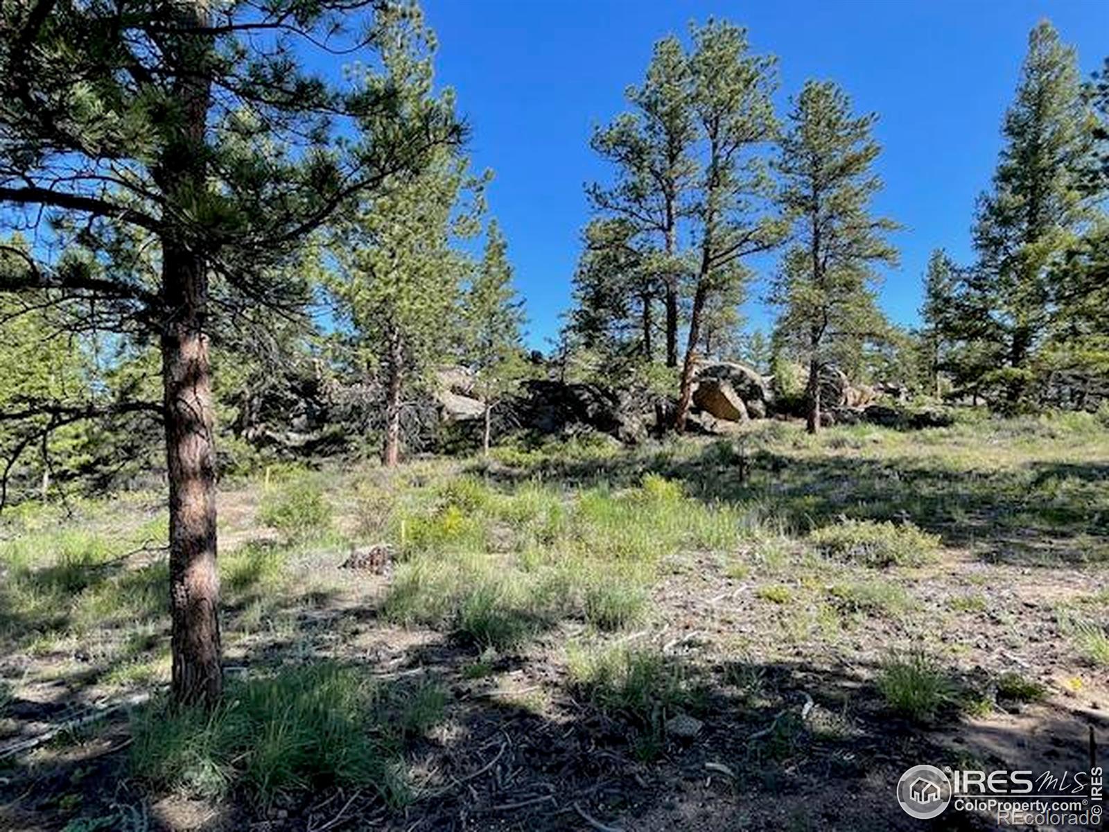 3086 Fox Acres Drive E Red Feather Lakes CO 80545