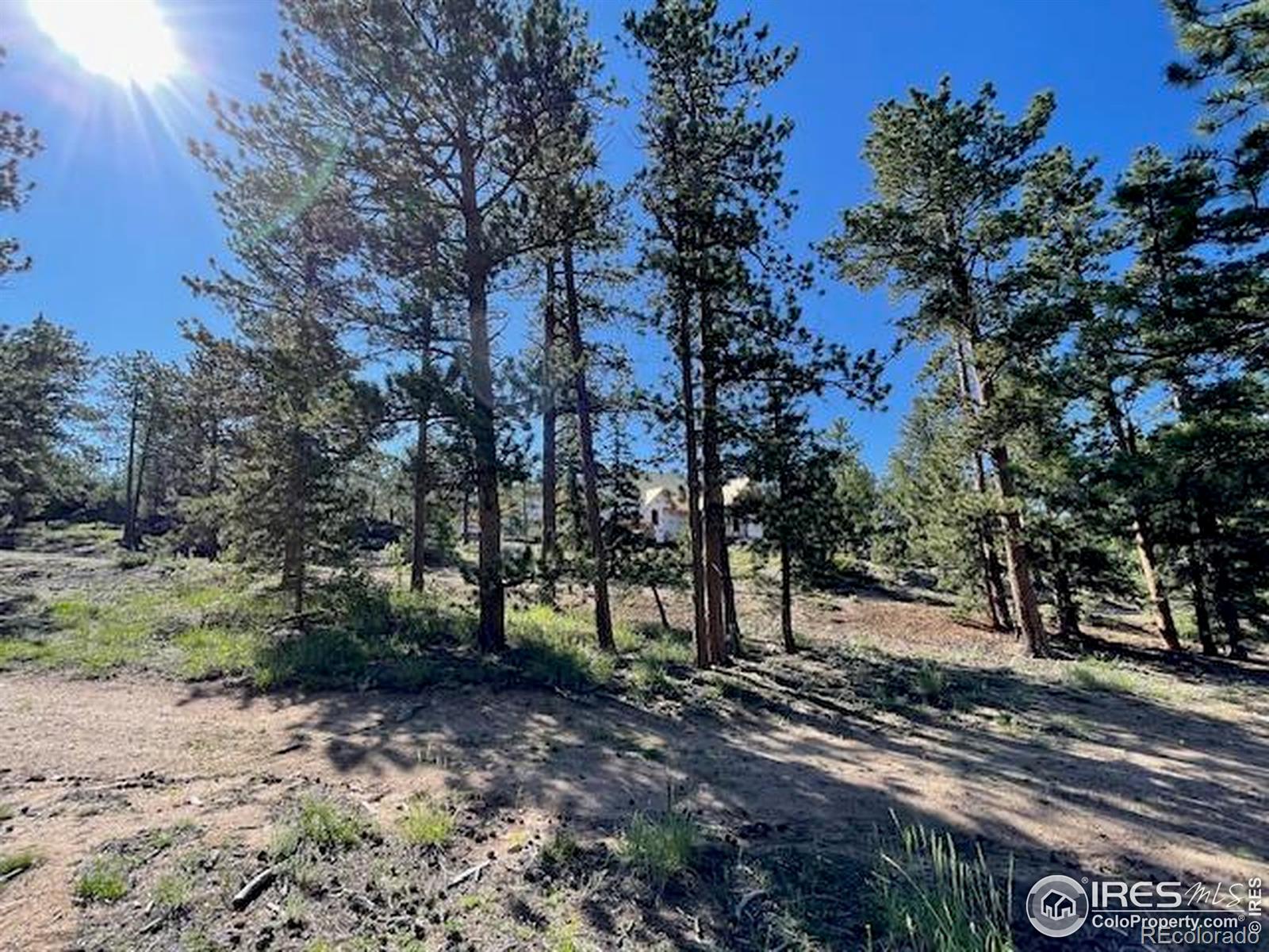 3086 Fox Acres Drive E Red Feather Lakes CO 80545