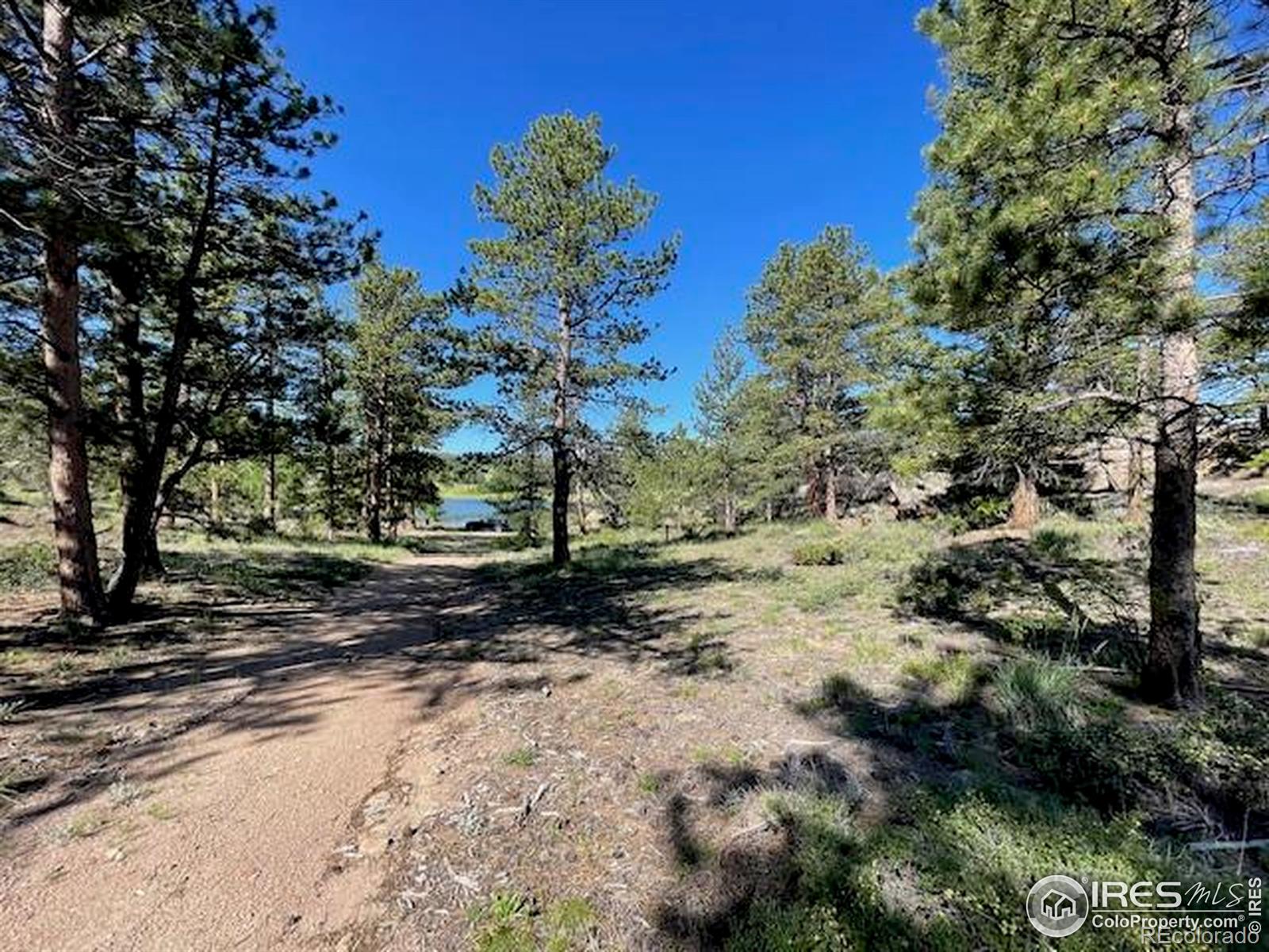 3086 Fox Acres Drive E Red Feather Lakes CO 80545