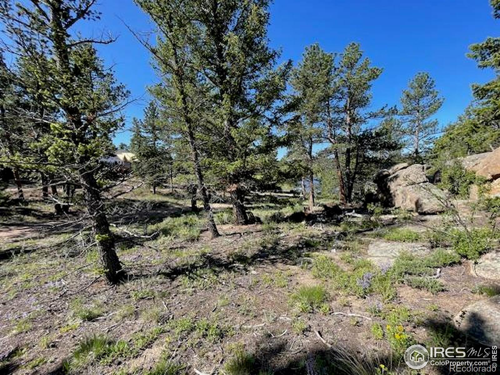 3086 Fox Acres Drive E Red Feather Lakes CO 80545