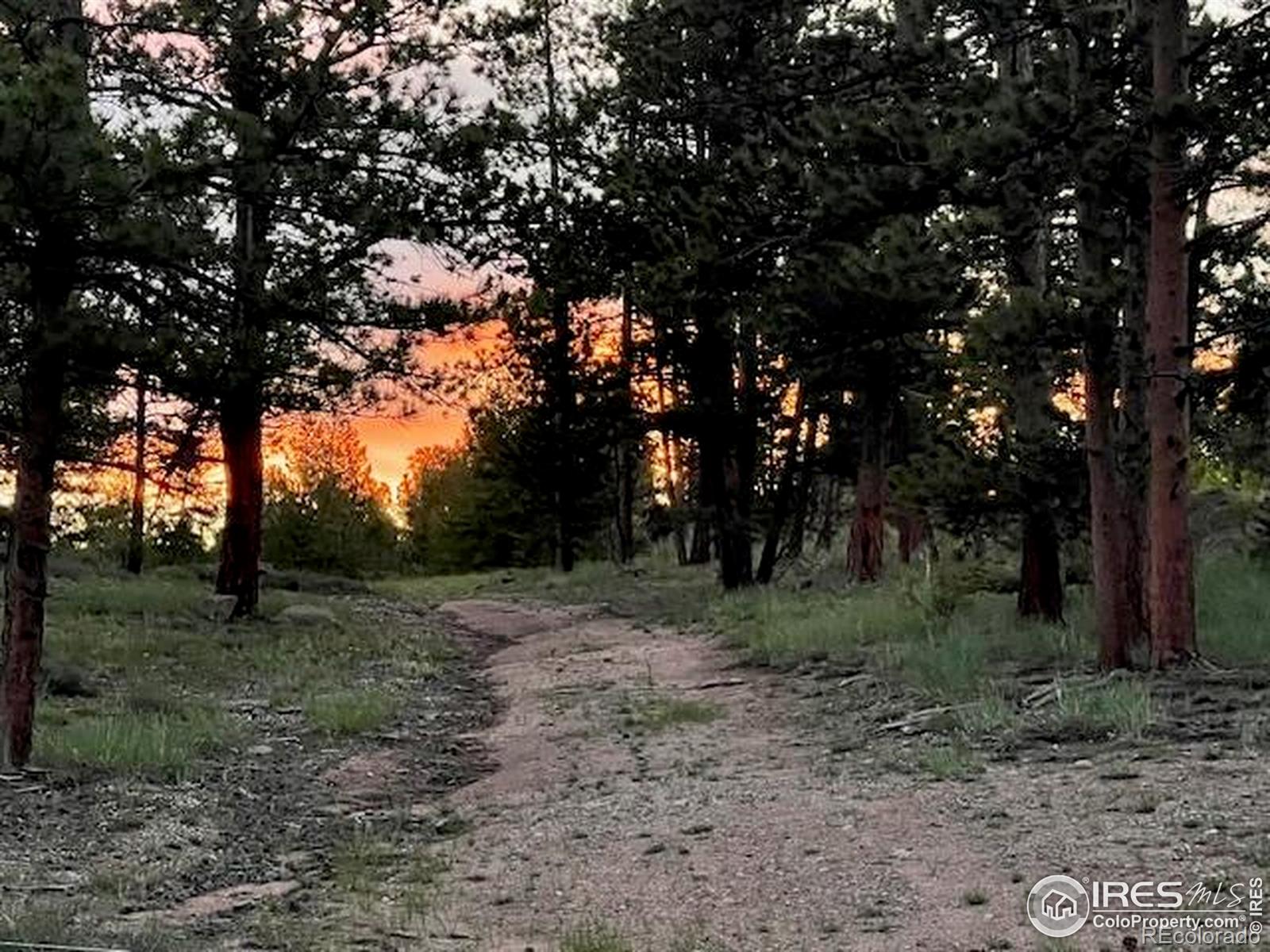 3086 Fox Acres Drive E Red Feather Lakes CO 80545