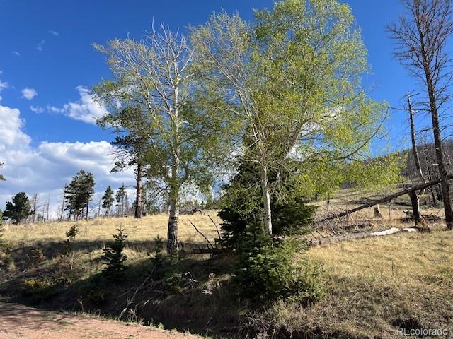 448 Wagon Mesa Loop Fort Garland CO 81133