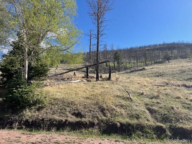 448 Wagon Mesa Loop Fort Garland CO 81133